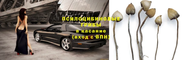 СК Алзамай