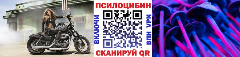 Псилоцибиновые грибы GOLDEN TEACHER  купить наркотик  Дедовск 