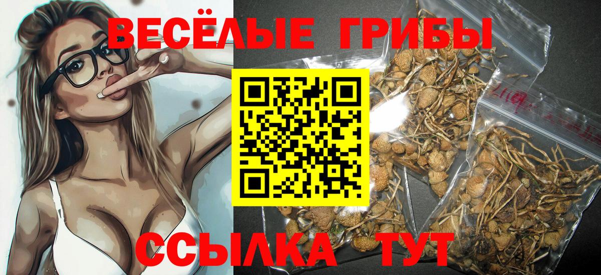 Псилоцибиновые грибы Psilocybine cubensis  Вход с VPN  Дедовск 