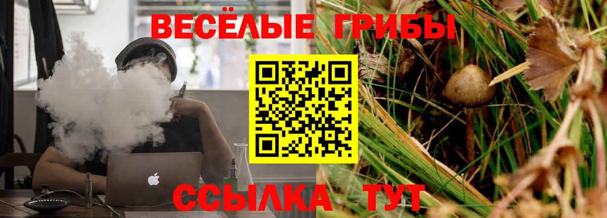 Псилоцибиновые грибы MAGIC MUSHROOMS Дедовск